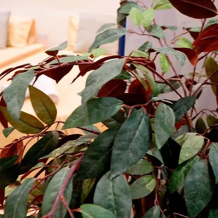 Lh (adults Only) Guest house 3*
