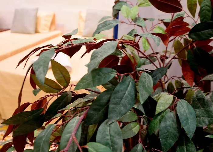 Lh (adults Only) Guest house 3*