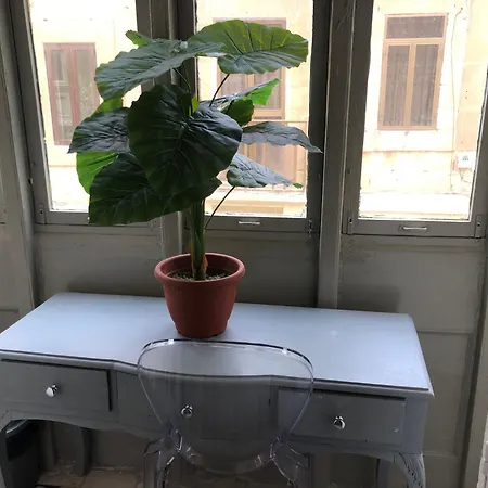 Lh (adults Only) 3* Sliema