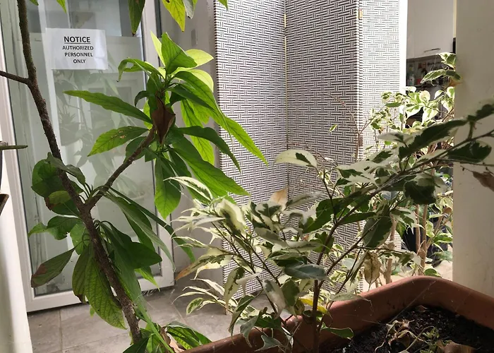 Lh (adults Only) Sliema